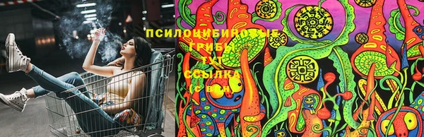гидропоника Богданович