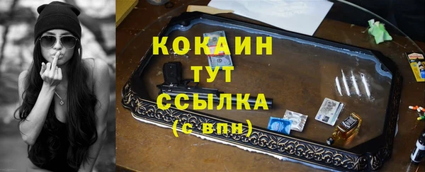гидропоника Богданович